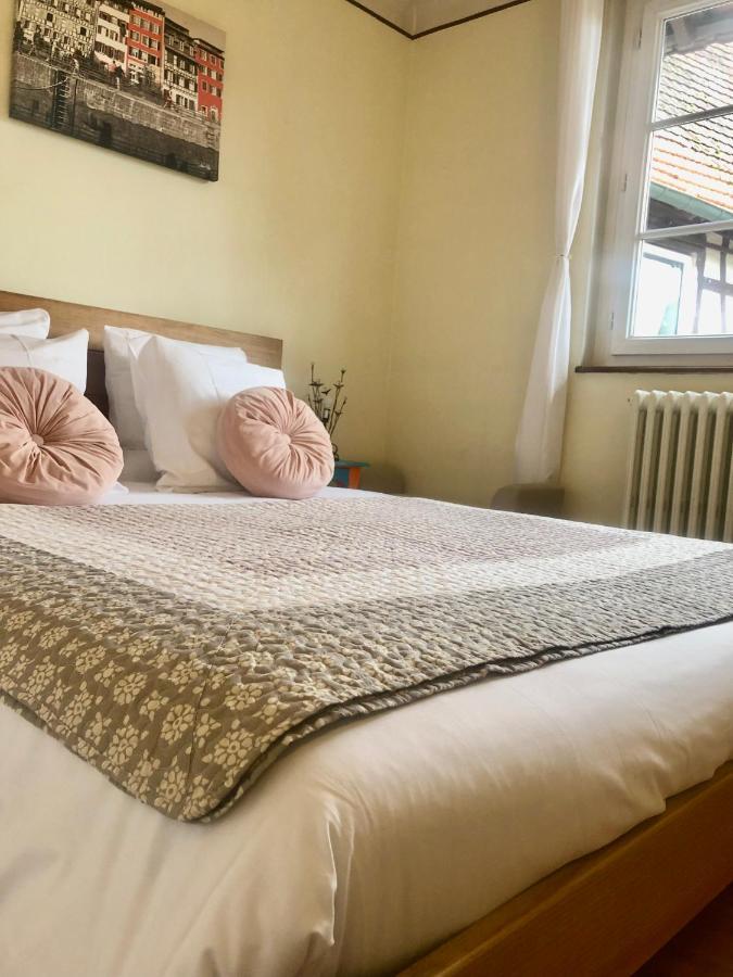 Appartement T3 Aux Deux Cigognes Gries Екстериор снимка