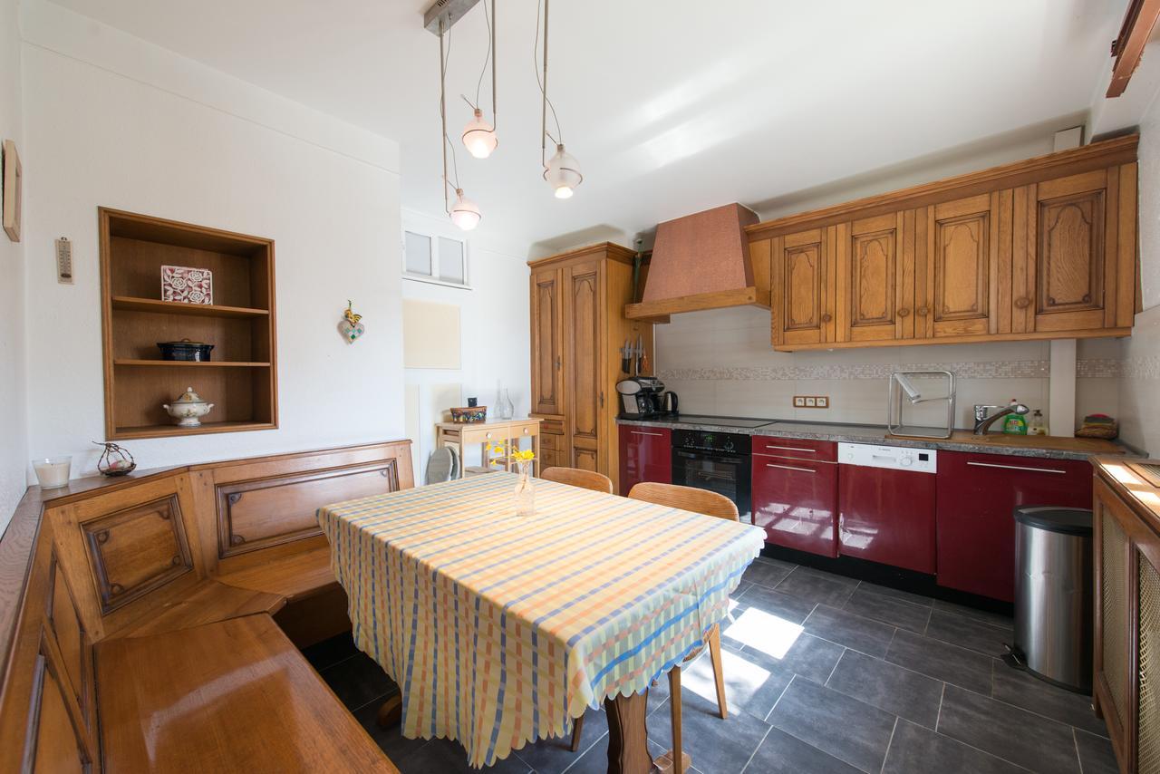 Appartement T3 Aux Deux Cigognes Gries Екстериор снимка