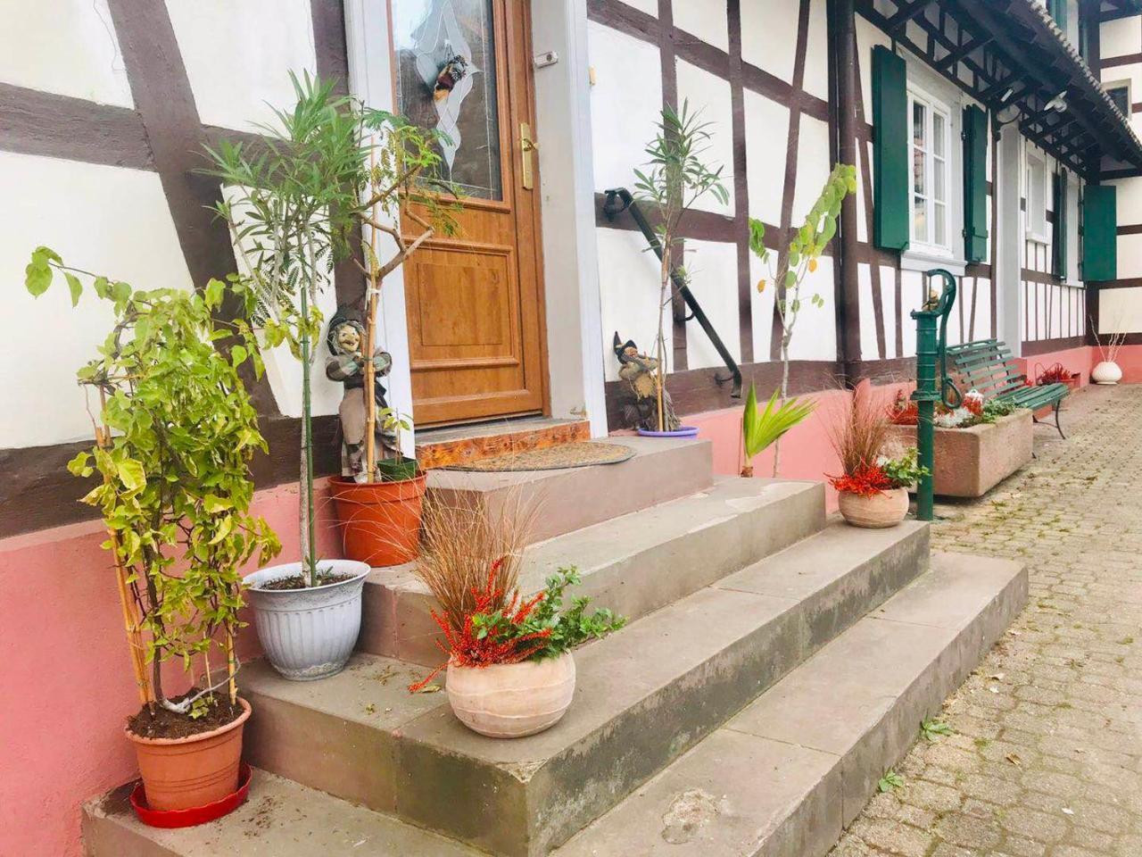 Appartement T3 Aux Deux Cigognes Gries Екстериор снимка